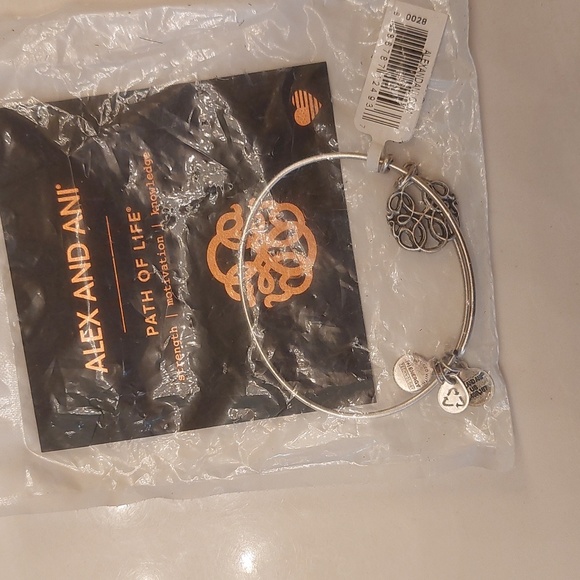 ALEX and ANI Path of Life Silver Bracelet - Picture 3 of 3